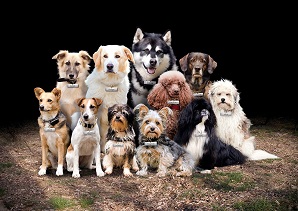 Gruppenfoto der Trainingsgruppe