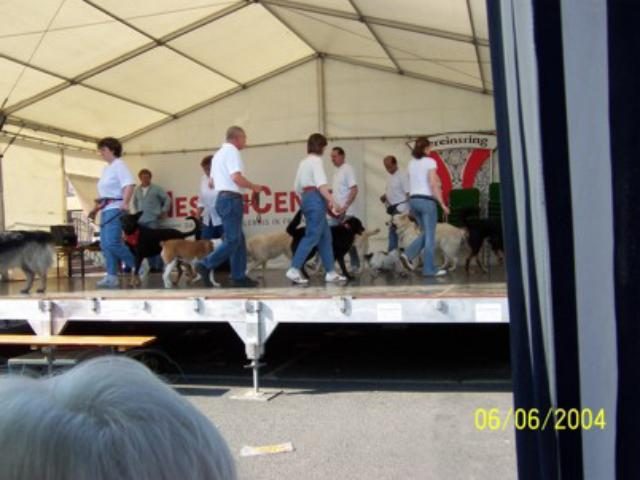 Altstadtfest Bergen – Foto 3