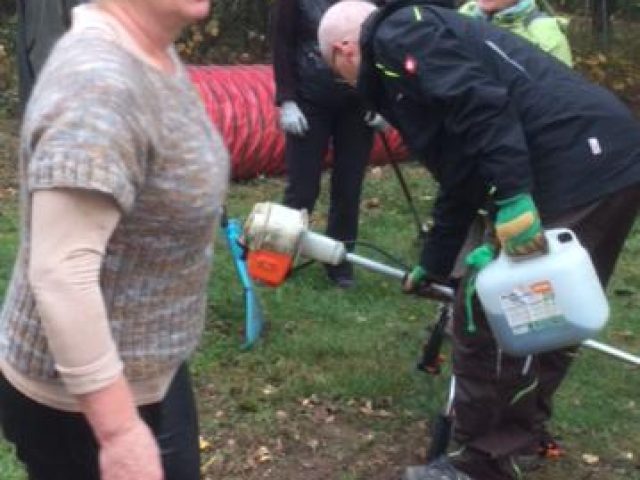 Arbeitseinsatz 2018 – Foto 8