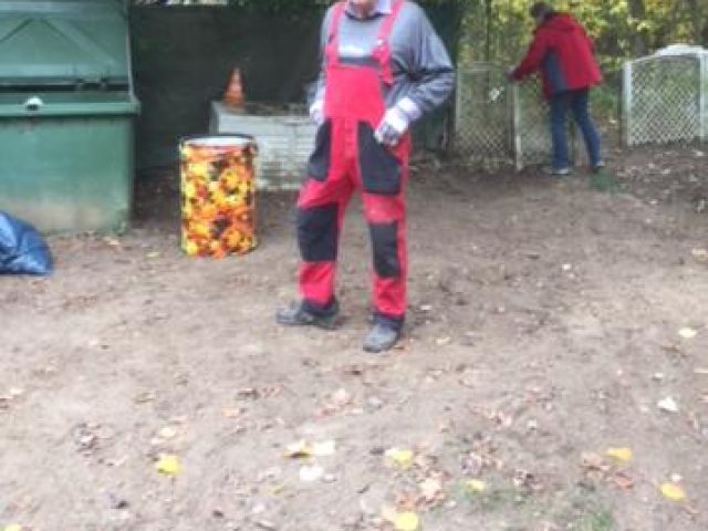 Arbeitseinsatz 2018 – Foto 13