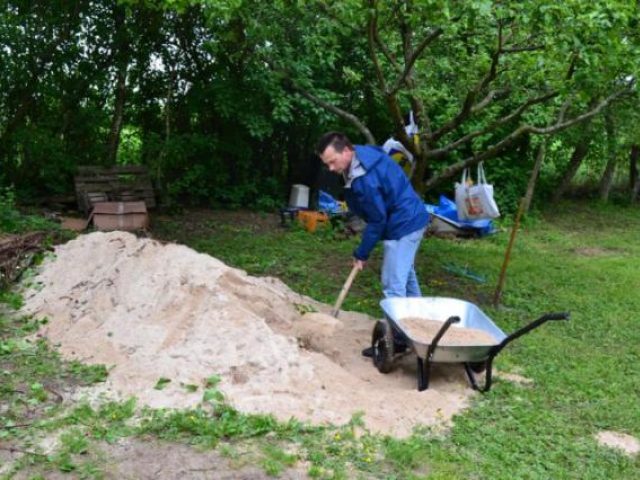 Arbeitseinsatz – Foto 3