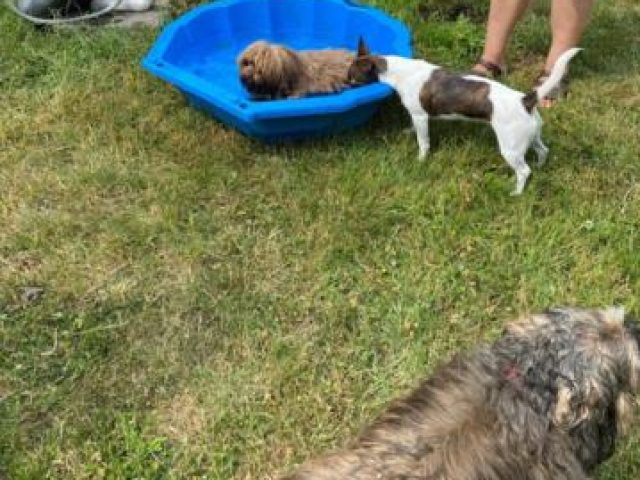 Baden – Foto 3