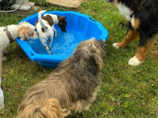 Baden – Foto 6