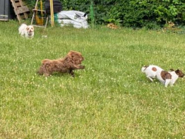 Baden – Foto 7