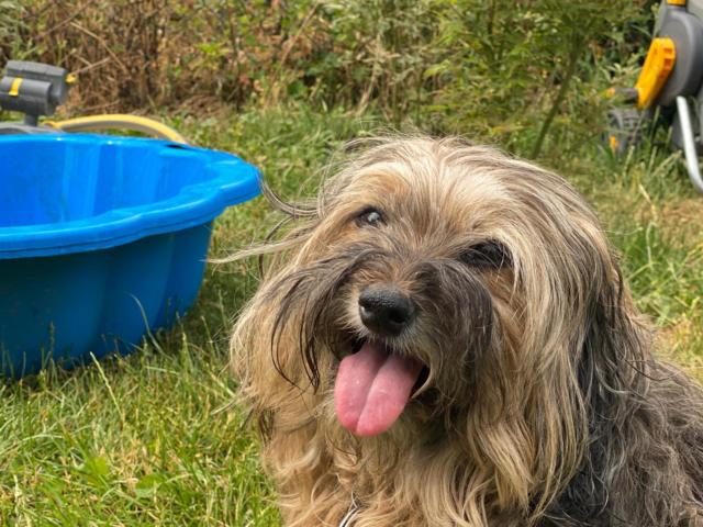 Baden – Foto 8