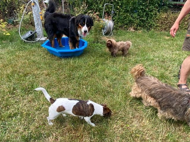 Baden – Foto 9