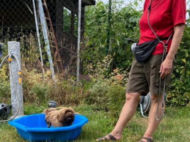 Baden – Foto 12