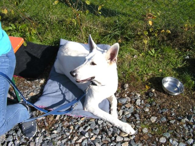 Einweihungsfeier 2019 – Foto 3