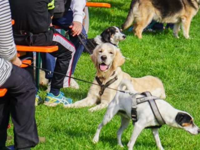 Einweihungsfeier 2019 – Foto 13