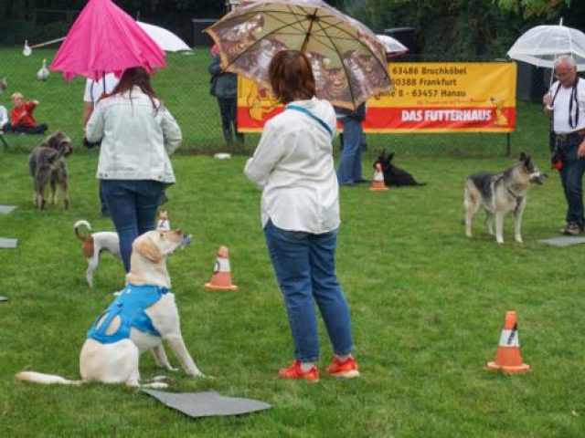 Einweihungsfeier 2019 – Foto 21