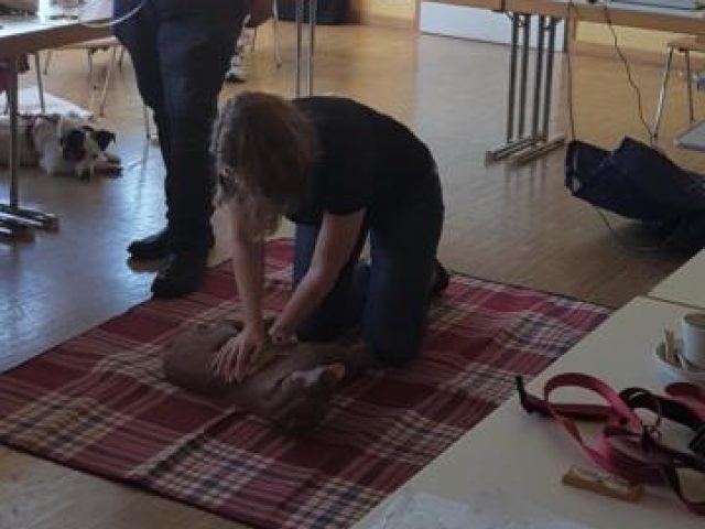 Erste Hilfe Kurs 2024 – Foto 6