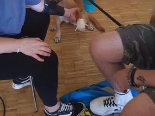 Erste Hilfe Kurs 2024 – Foto 8