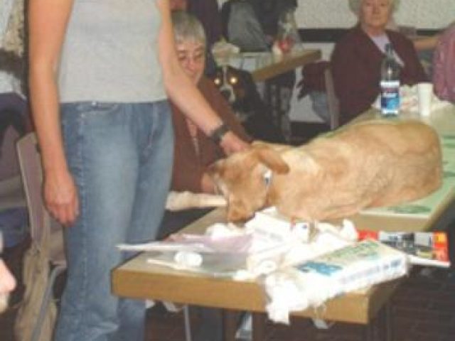 Erste Hilfe Kurs – Foto 3
