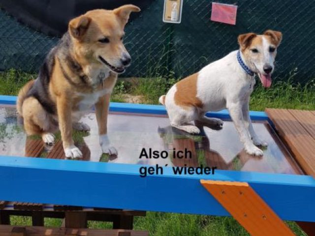 Neue Geraetebruecke – Foto 3