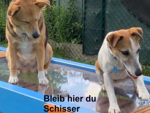 Neue Geraetebruecke – Foto 4