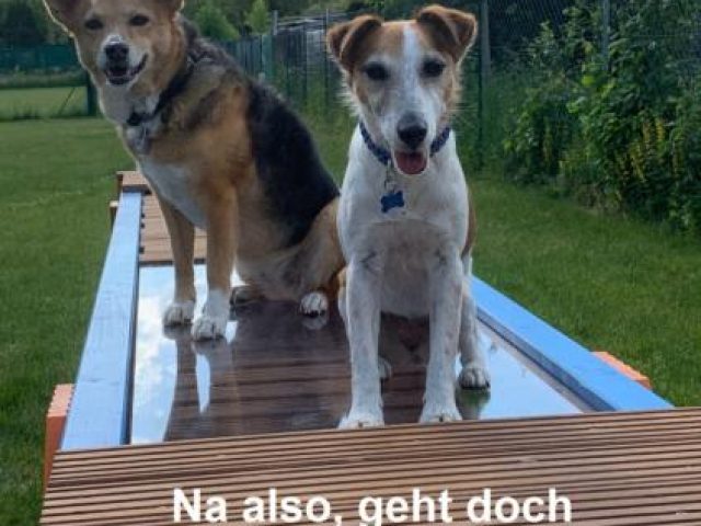 Neue Geraetebruecke – Foto 5