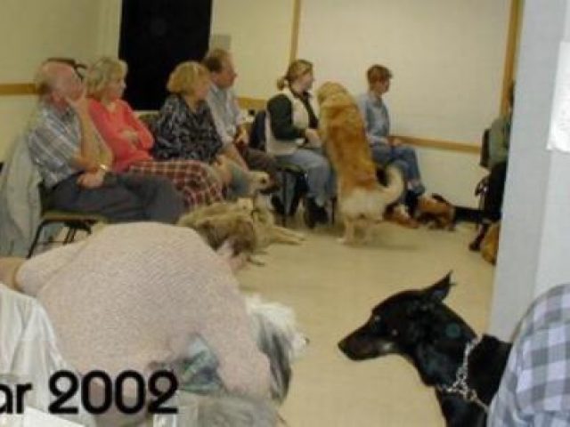 Seminar Tellington Touch