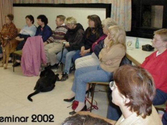 Seminar Tellington Touch – Foto 4