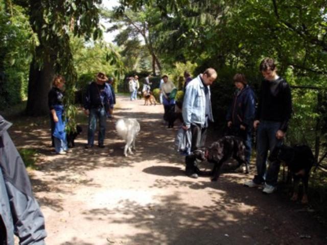 Sommerfest – Foto 2