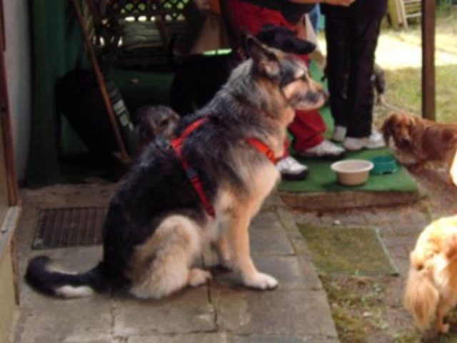 Sommerfest – Foto 4