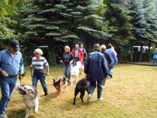 Sommerfest – Foto 5