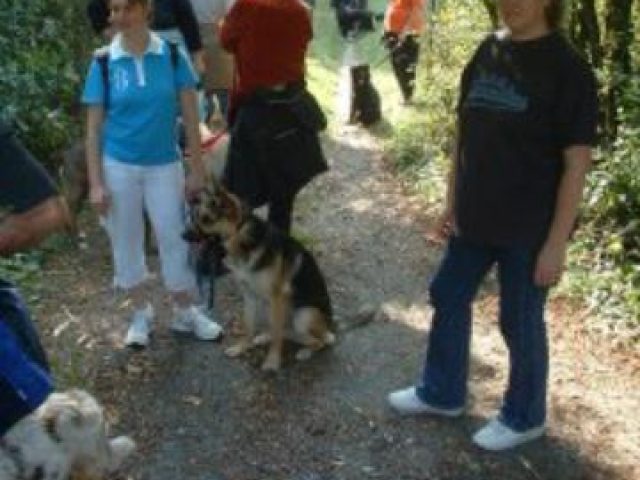 Sommerfest – Foto 8