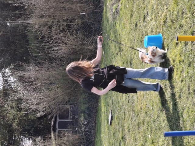 Trainingsbeginn 2025 – Foto 3