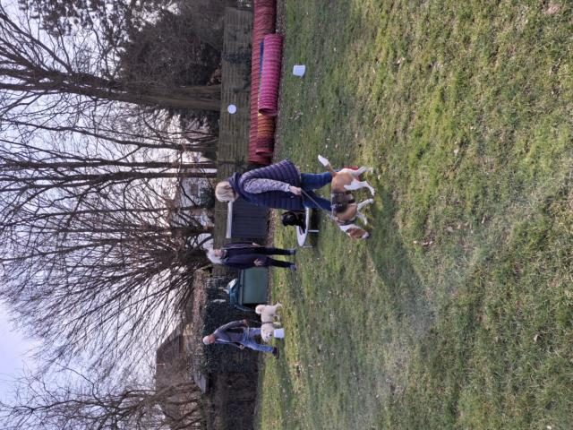 Trainingsbeginn 2025 – Foto 7