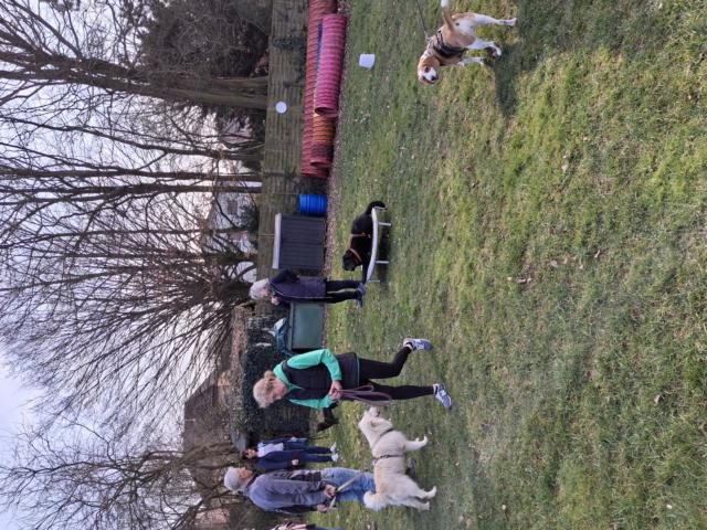 Trainingsbeginn 2025 – Foto 10