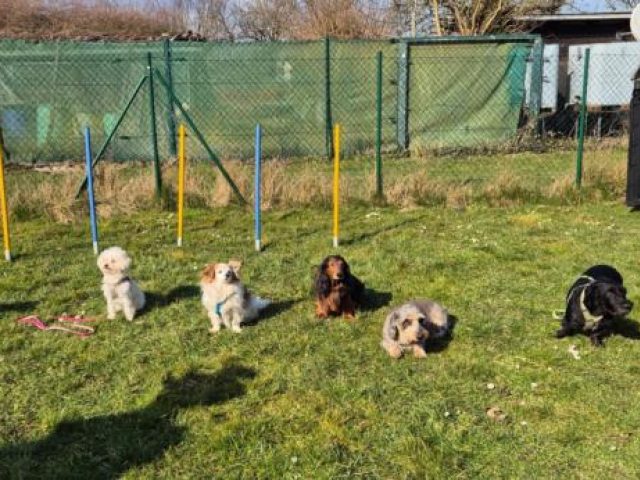 Trainingsbeginn 2025 – Foto 14