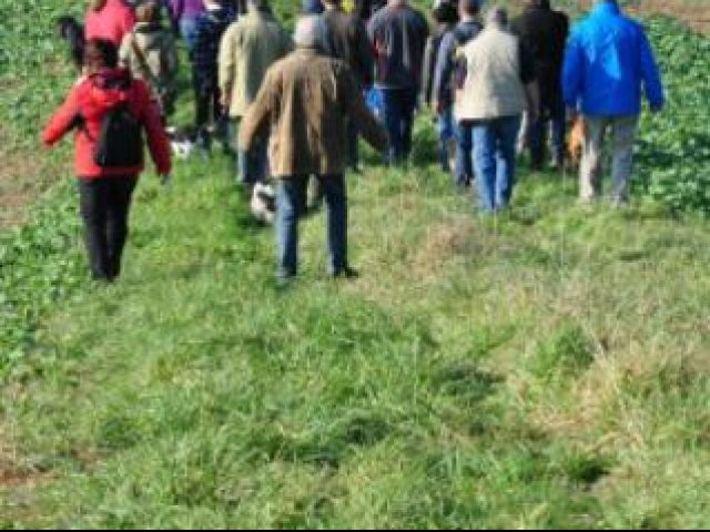 Wanderung – Foto 11