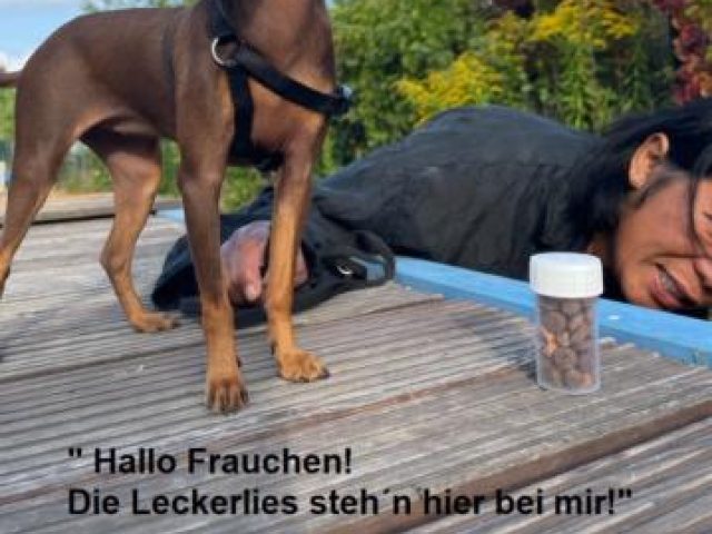 Welpen 2022 – Foto 4