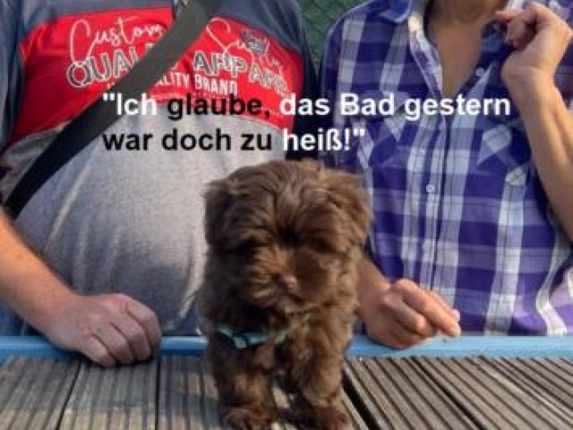 Welpen 2022 – Foto 6
